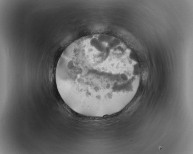 X0000086921204200705141715