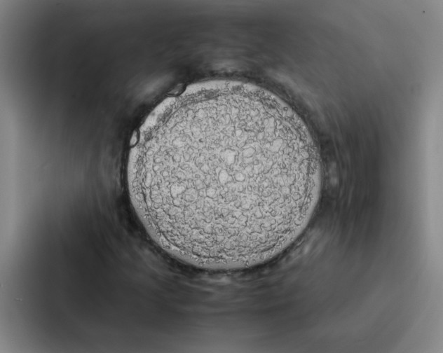 X0000086921205200705141715