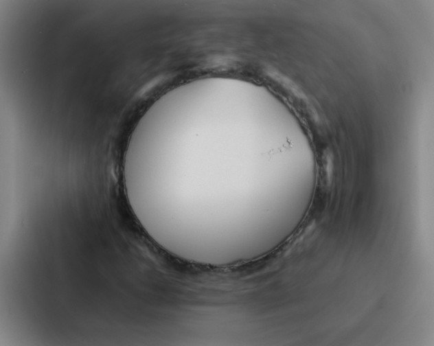 X0000086921206200705141715
