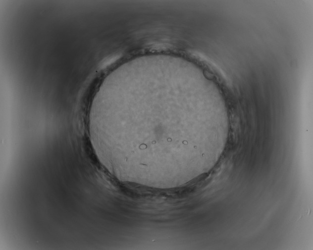 X0000086921207200705141715