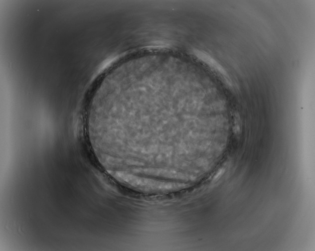 X0000086921208200705141715