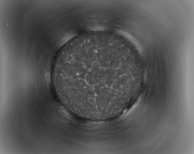 X0000086921209200705141715