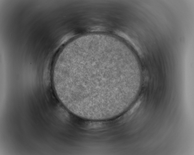 X0000086921211200705141715