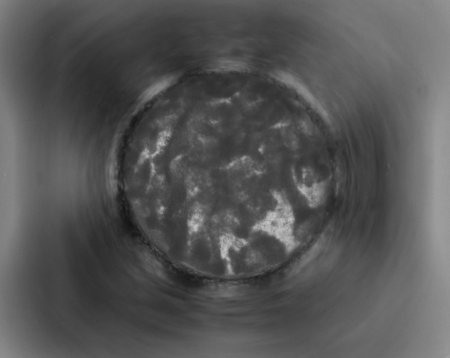 X0000086921213200705141715