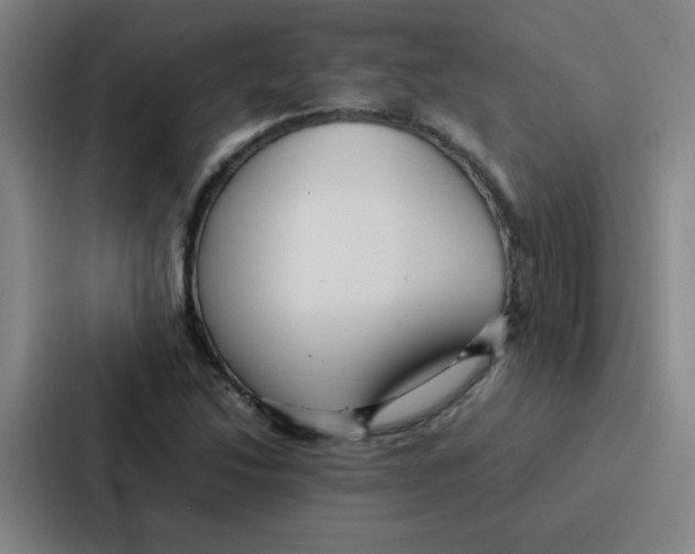 X0000086921214200705141715