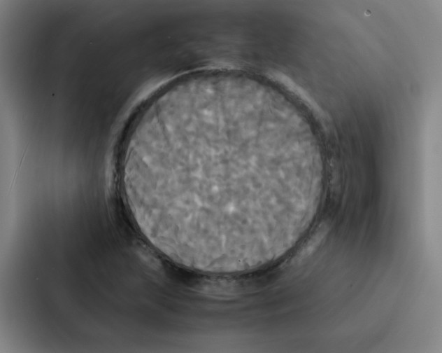 X0000086921215200705141715