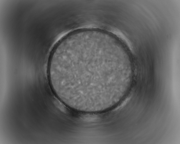 X0000086921216200705141715