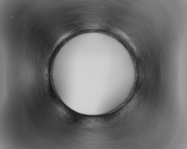 X0000086921218200705141716