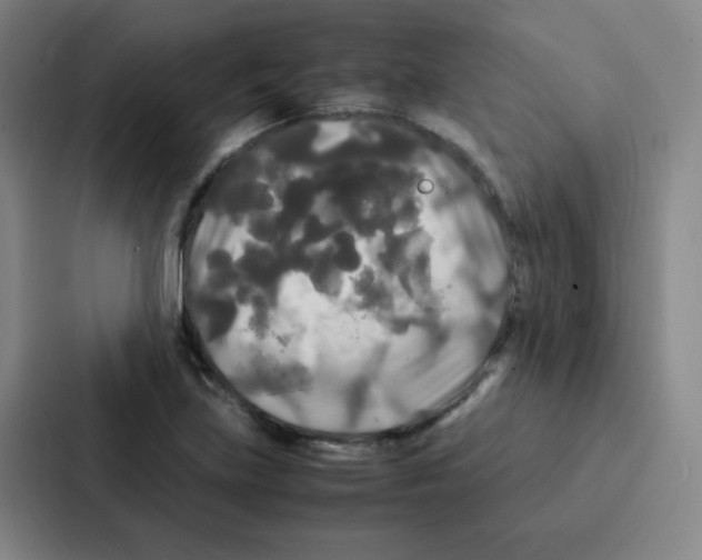 X0000086921219200705141716