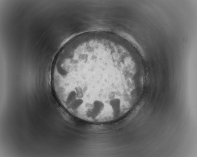 X0000086921220200705141716