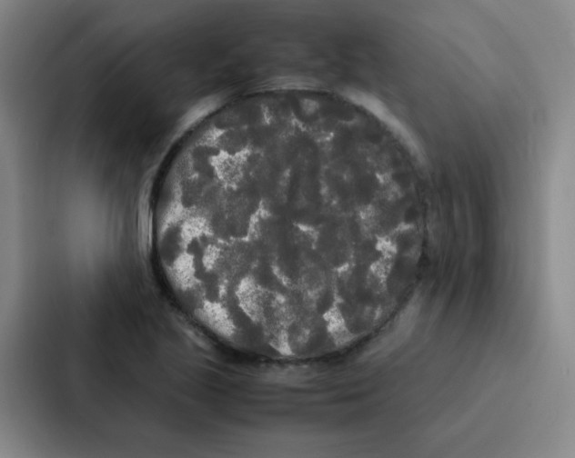 X0000086921221200705141716