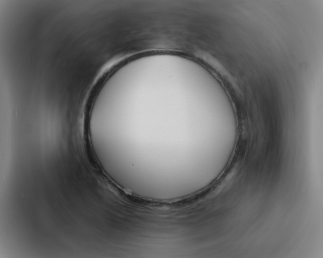 X0000086921222200705141716