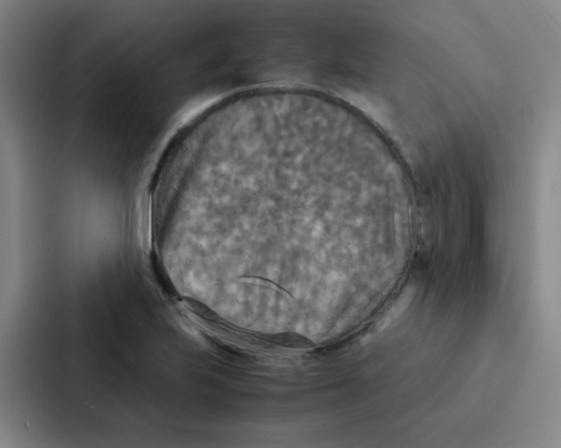 X0000086921223200705141716