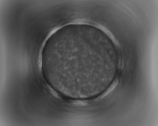 X0000086921224200705141716