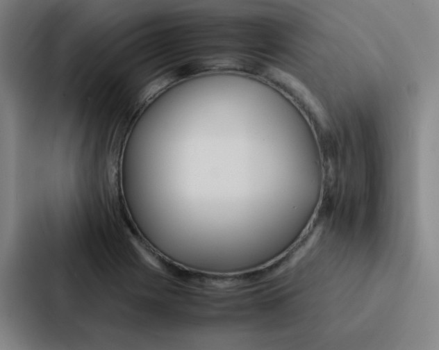 X0000086921225200705141716