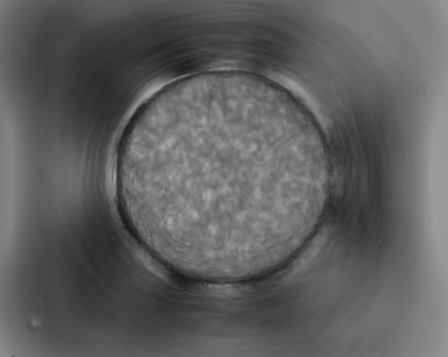 X0000086921227200705141716