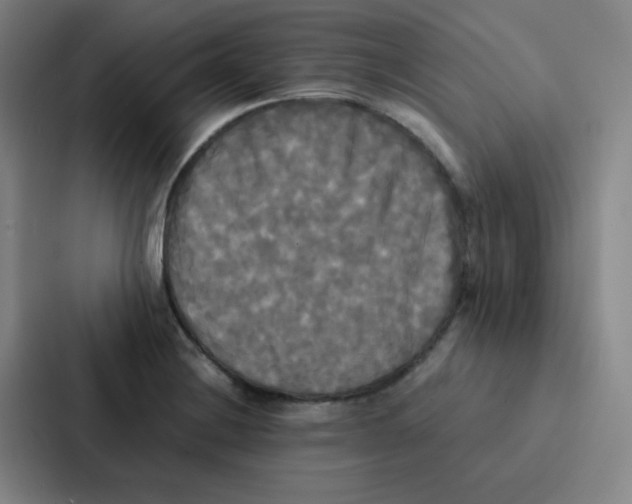 X0000086921228200705141716