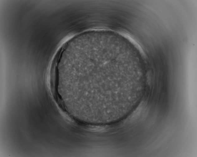 X0000086921229200705141716
