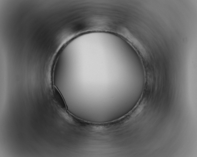 X0000086921230200705141716