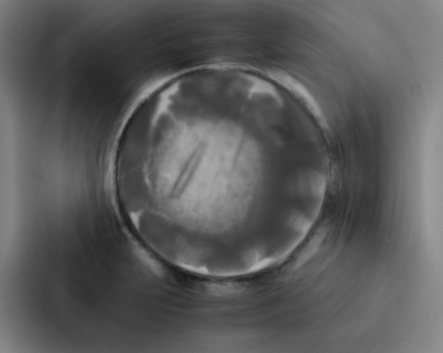 X0000086921231200705141716