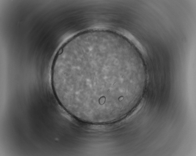 X0000086921232200705141716
