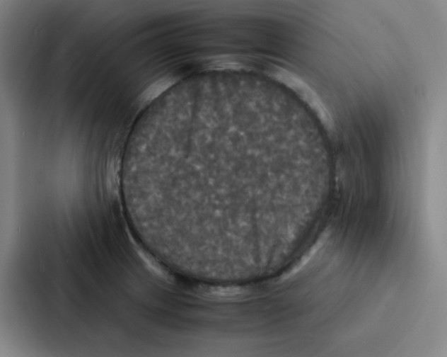 X0000086921233200705141716