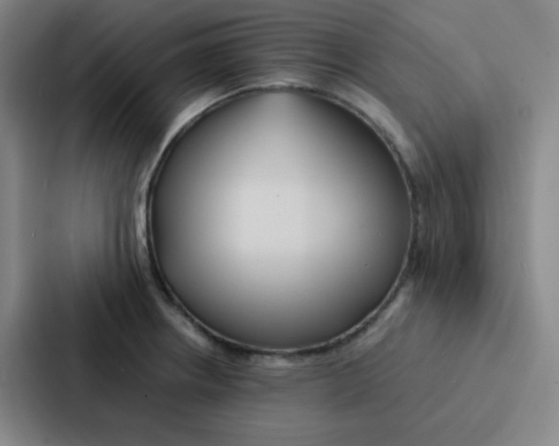 X0000086921234200705141716