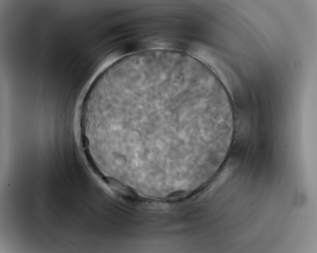 X0000086921235200705141716