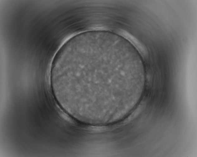 X0000086921236200705141716
