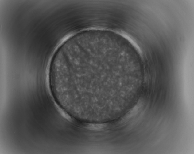 X0000086921237200705141716