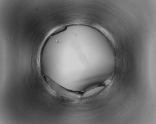 X0000086921238200705141716