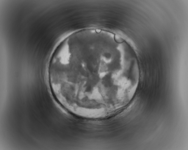 X0000086921239200705141716