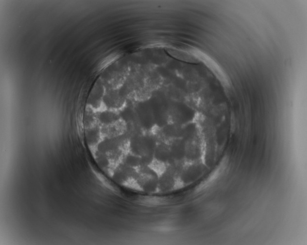 X0000086921241200705141716