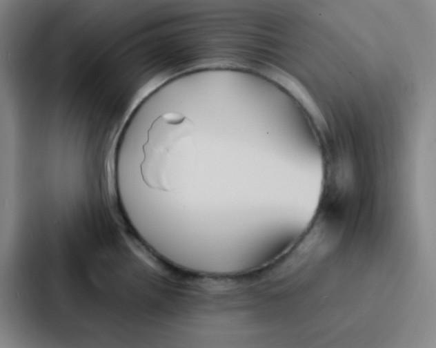 X0000086921242200705141716