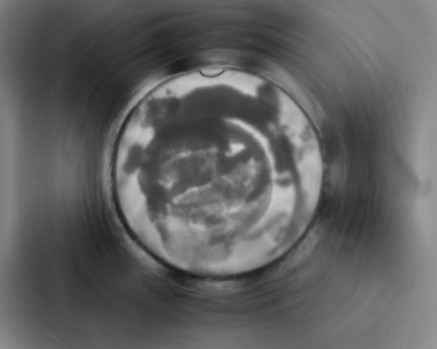 X0000086921243200705141716