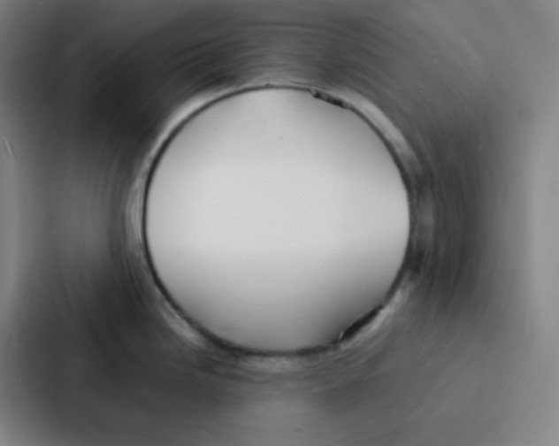 X0000086921246200705141716