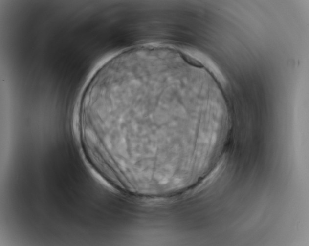 X0000086921247200705141716
