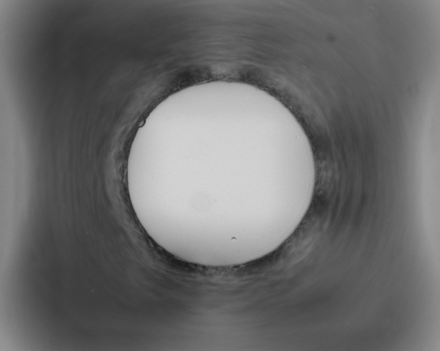 X0000086921249200705141715