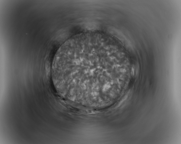 X0000086921251200705141715