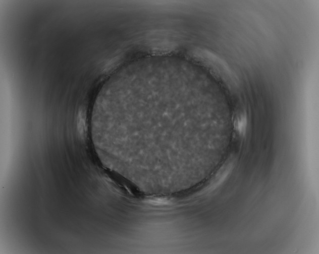 X0000086921252200705141715