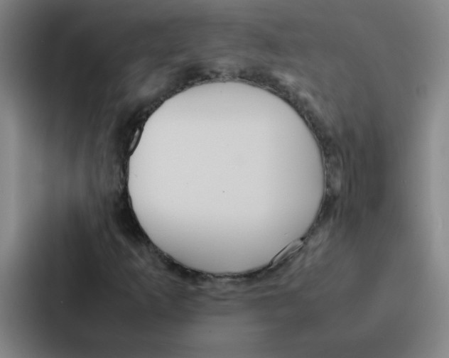 X0000086921253200705141715