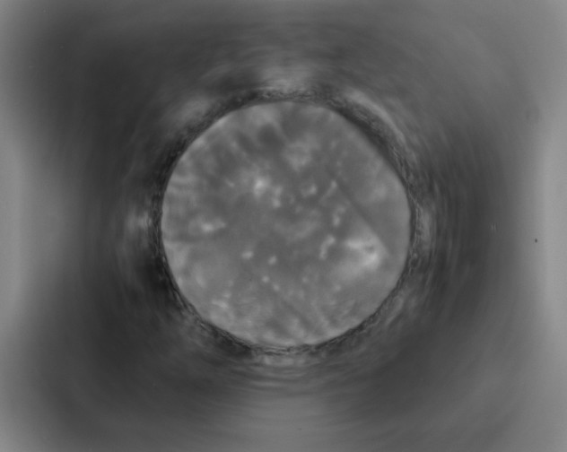 X0000086921254200705141715