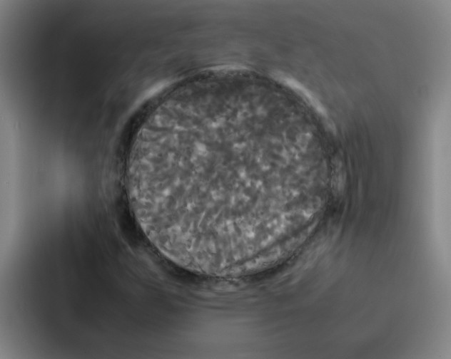 X0000086921255200705141715