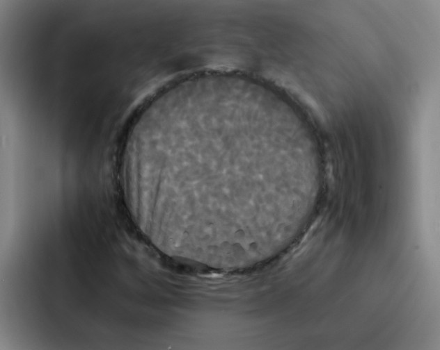 X0000086921256200705141715