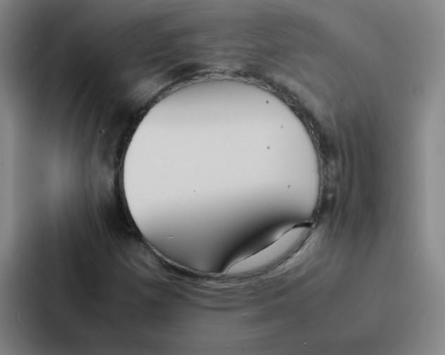 X0000086921257200705141715