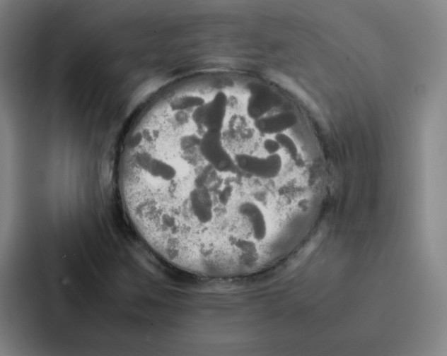 X0000086921259200705141715