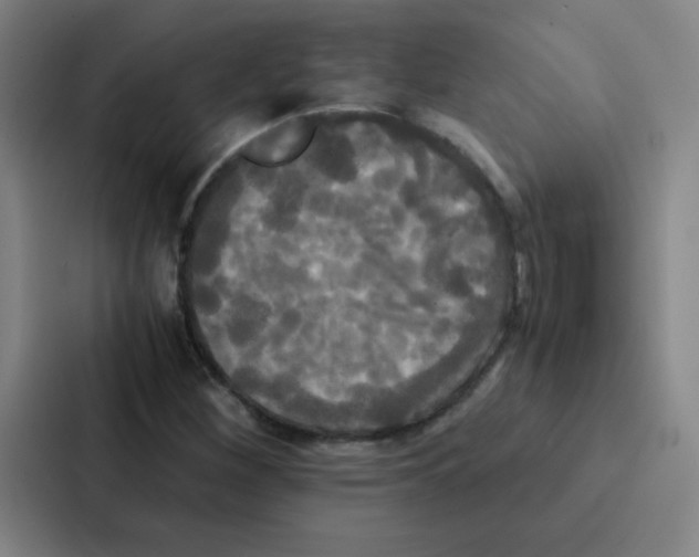 X0000086921260200705141715