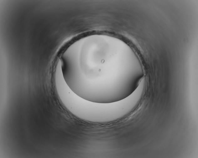 X0000086921263200705141715