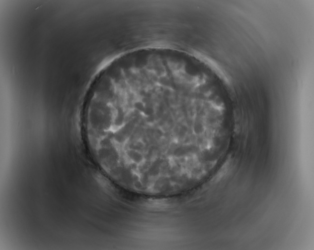 X0000086921264200705141715