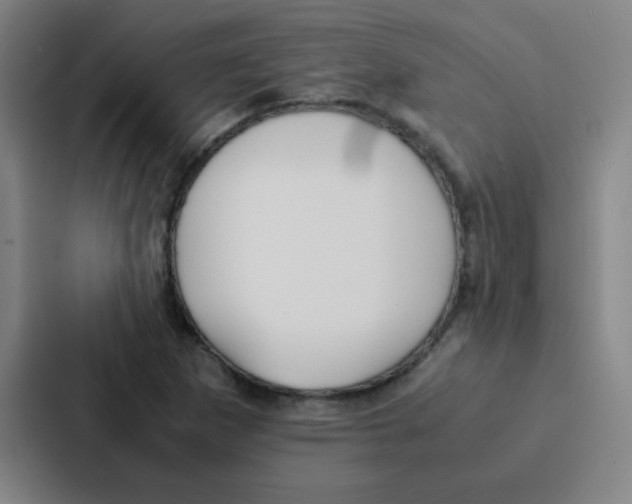 X0000086921265200705141715